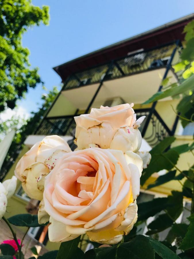 Vila Yzabelle エフォリエ・ノルド エクステリア 写真